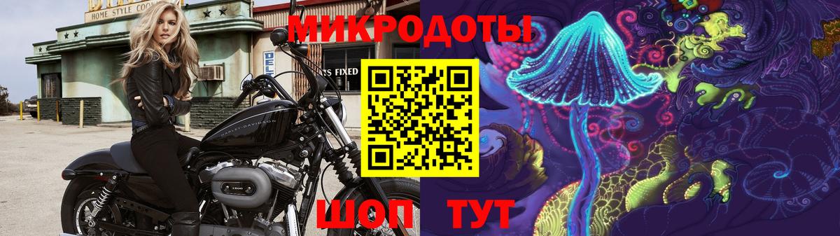 Ульяновск  Галлюциногенные грибы GOLDEN TEACHER  сколько стоит  Вход с VPN 